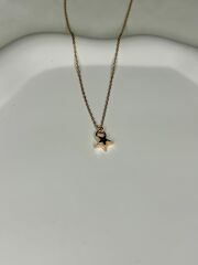 925 Ayar Gümüş Minimal Yıldız Kolye